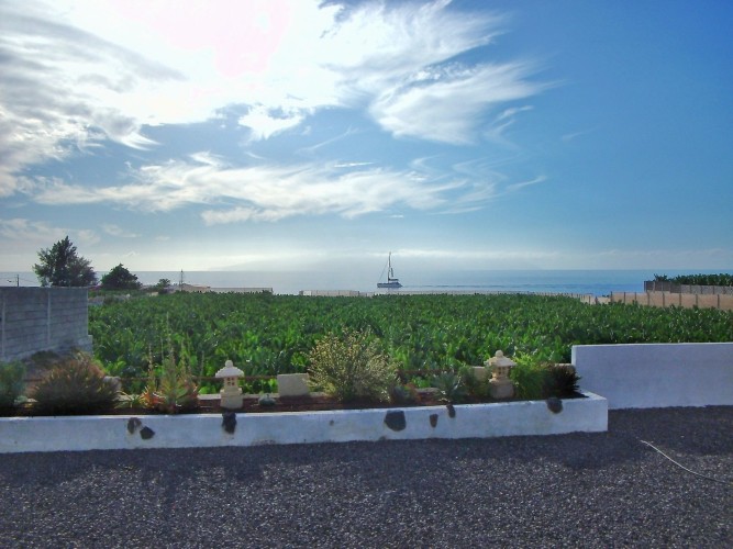 Tenerife 08