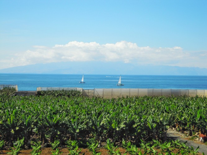 Tenerife 10